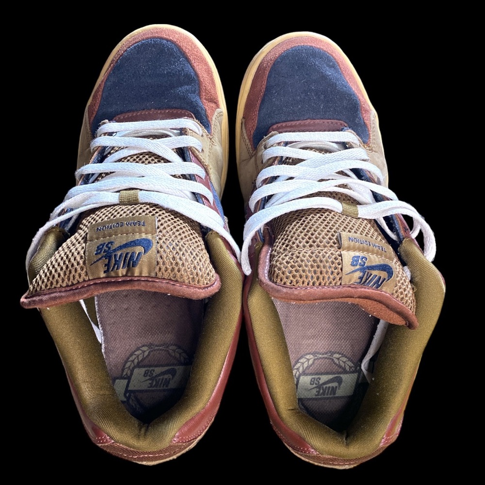 nike zoom team edition